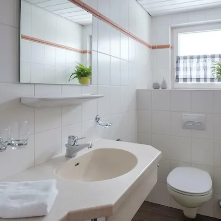 Dorfhaus Appartement *